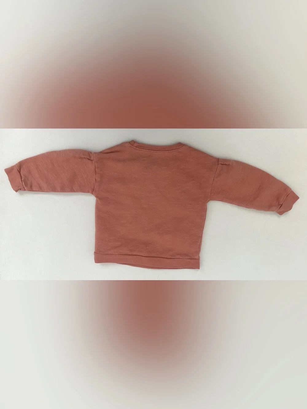 Carter's girl’s sweatshirt, small glittery heart on the chest. Size 18M.